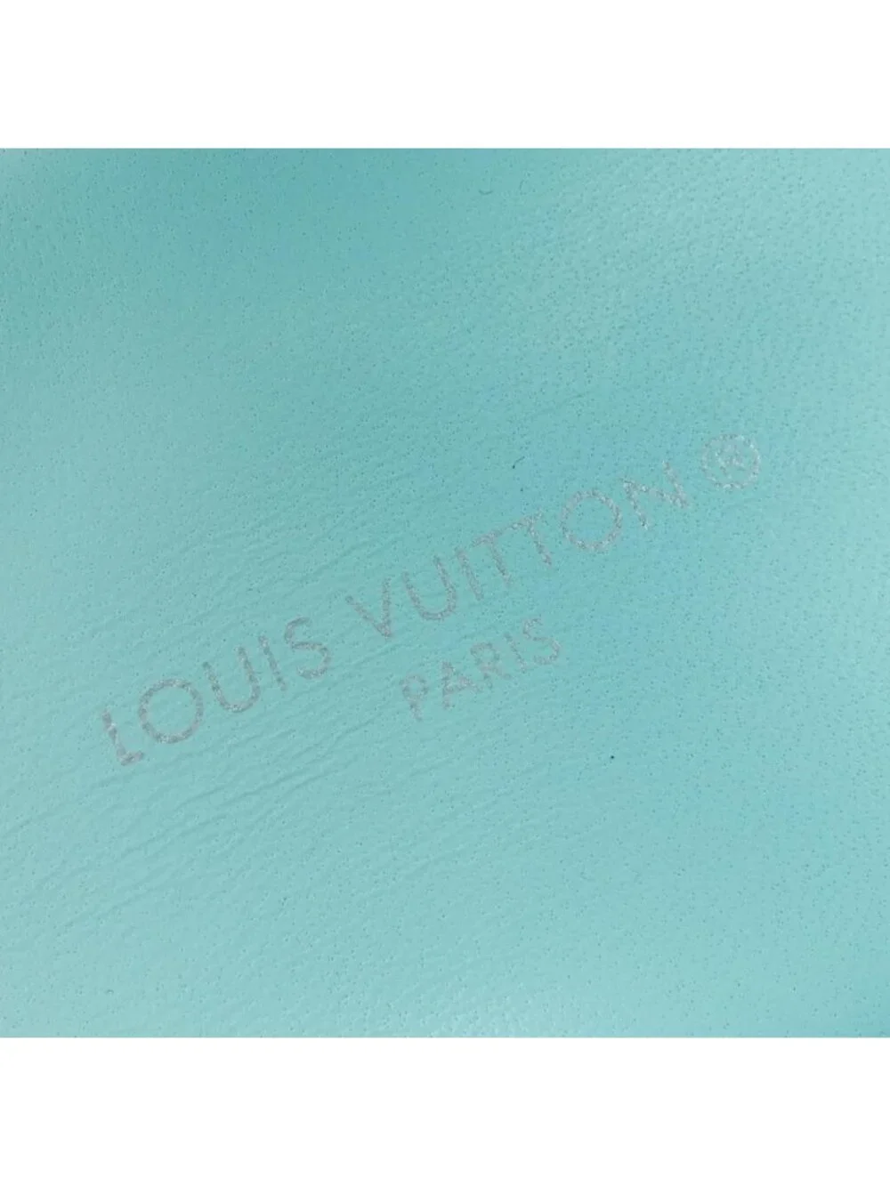 Louis Vuitton brand louis